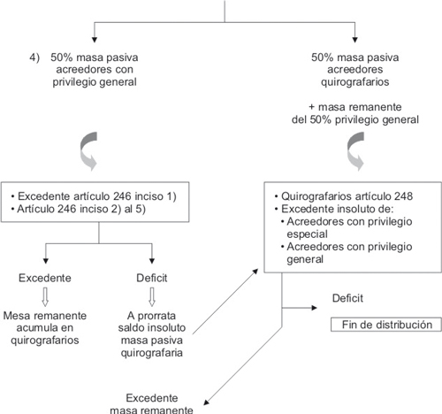 Informe Final Y Distribucion En La Quiebra Creditodienit